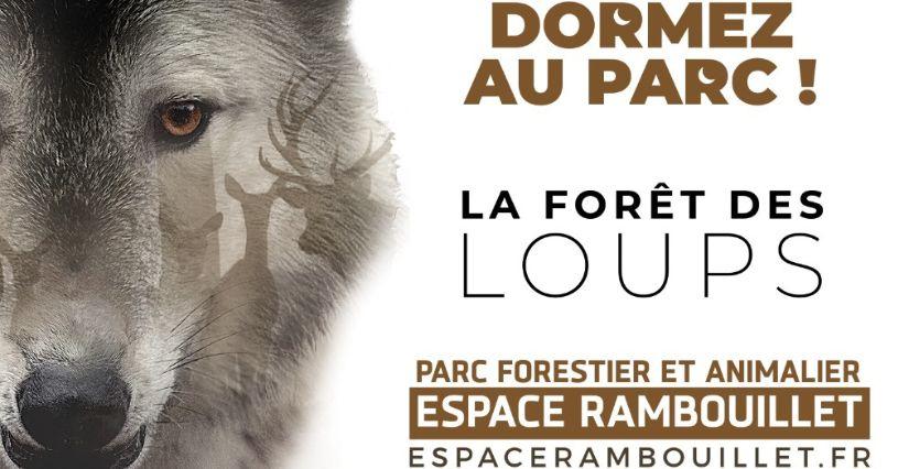 Bivouac : une nuit en forêt à l'Espace Rambouillet dans les Yvelines Bivouac : une nuit en forêt à l'Espace Rambouillet dans les Yvelines