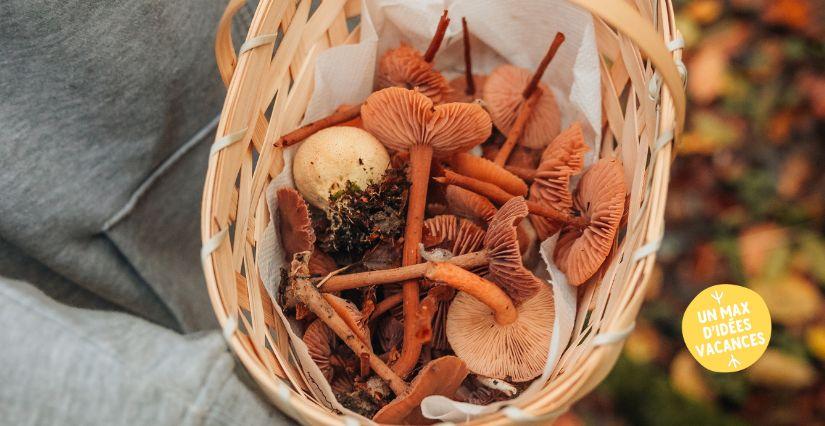 Les secrets des champignons, balade nature en famille, Forêt de Marly (78)