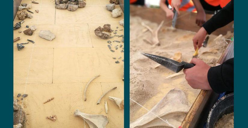 "À la découverte de l’archéologie – Bacs à fouille" , atelier pour enfants au MAN dans les Yvelines (78)