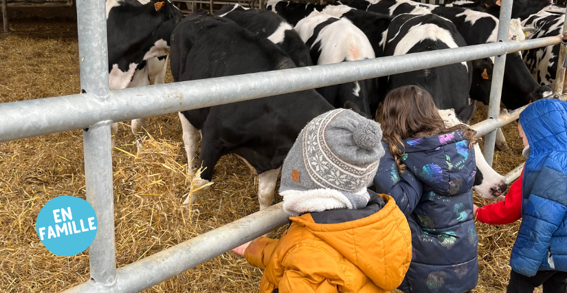 Visites guidées de l'étable des vaches à la ferme de Viltain (78) Visites guidées de l'étable des vaches à la ferme de Viltain (78)