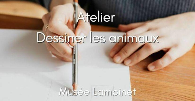 Atelier dessin pour les ados à Versailles Atelier de dessin à partir de 12 ans : "Dessiner les animaux" au Musée Lambinet, Versailles (78)