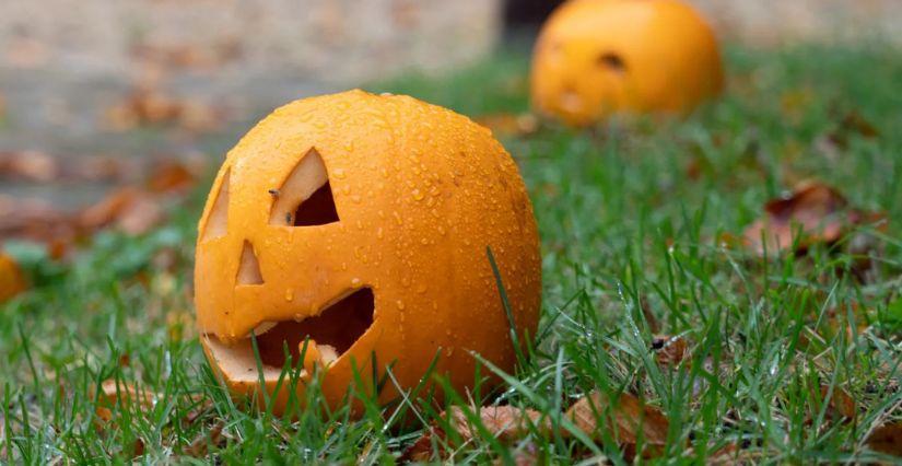 Le 31 octobre, l'abbaye de Royaumont fête Halloween avec des animations pour tous (95)