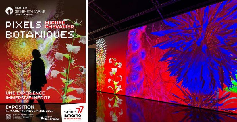 "Pixels Botaniques" exposition immersive au Musée de la Seine-et-Marne à Saint-Cyr-Sur-Morin (77)