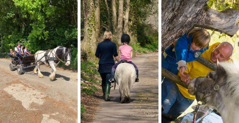Découverte poney en famille aux Écuries de Cap'tain Brown (60)