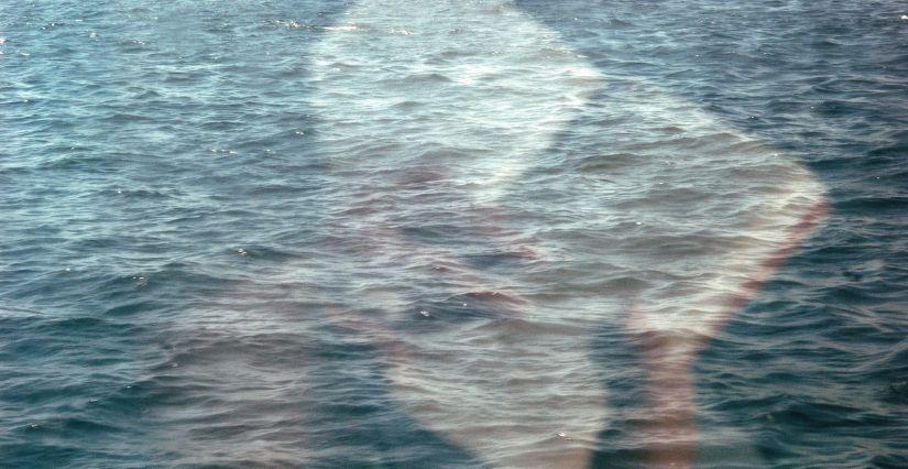 Déambulation en lecture sur le thème de la mer à l'Espace Richaud de Versailles