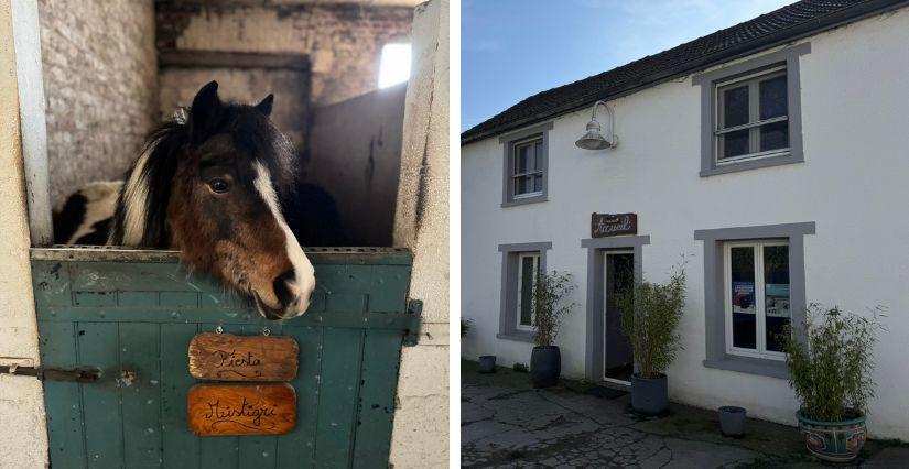 Séance photo avec son poney à Neuilly-en-Thelle : expérience magique pour enfants près de Chambly (60)