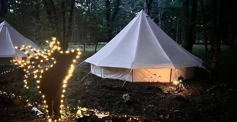 Nuit en bivouac au parc animalier l'Espace Rambouillet - idée sortie Yvelines