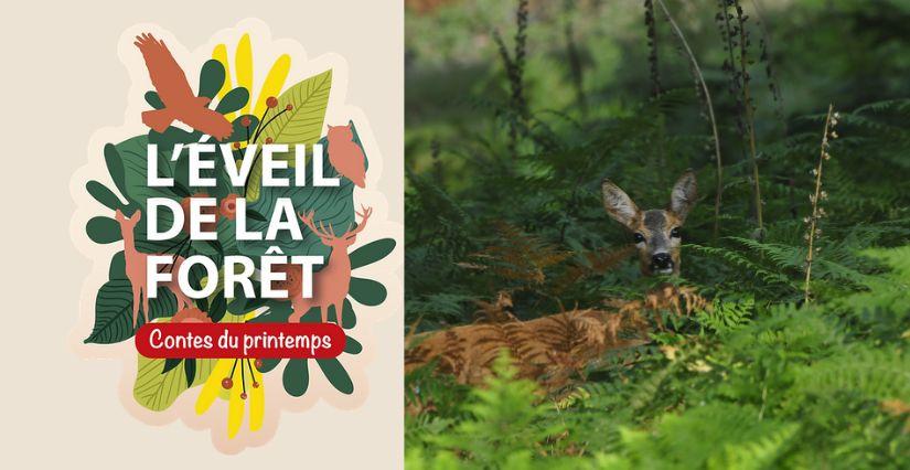 L'Éveil de la Forêt : spectacles et contes à l'Espace Rambouillet (78)