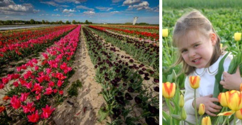 Réouverture de la cueillette de Viltain : sortie en famille à Jouy-en-Josas (78)