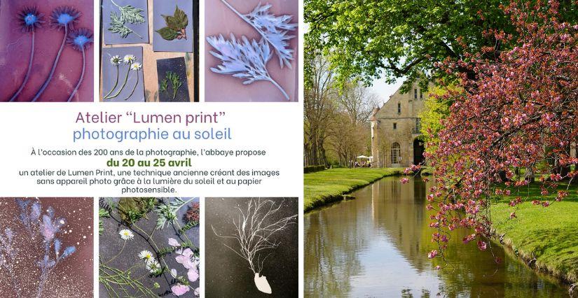 Atelier « Lumen Print » : photographie au soleil à l’Abbaye de Royaumont (95)