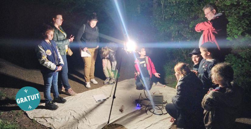 Sortie nature : découverte des insectes nocturnes au Parc départemental du Peuple de l’herbe (78)