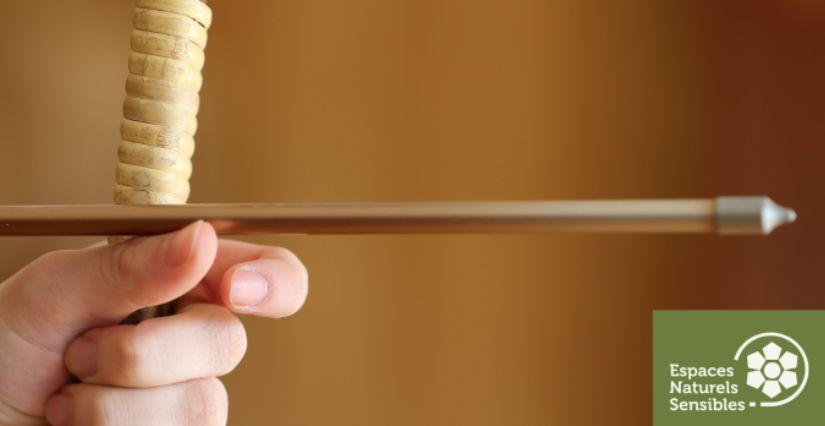 Initiation gratuite au tir à l'arc en Forêt départementale de Sainte-Apolline à Plaisir (78)