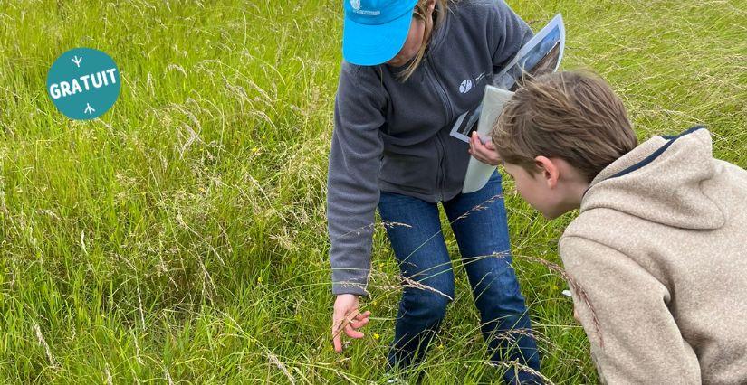 Atelier : les secrets des plantes comestibles à Carrières-sous-Poissy (78)