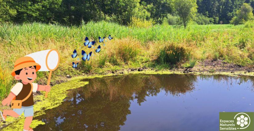 Les insectes à portée de main, sortie nature en famille, Site départemental de la Poussarderie (78)