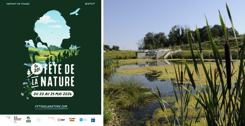 Fête de la Nature à Cergy : expédition "Petites Bêtes" sur la Coulée Verte (95)