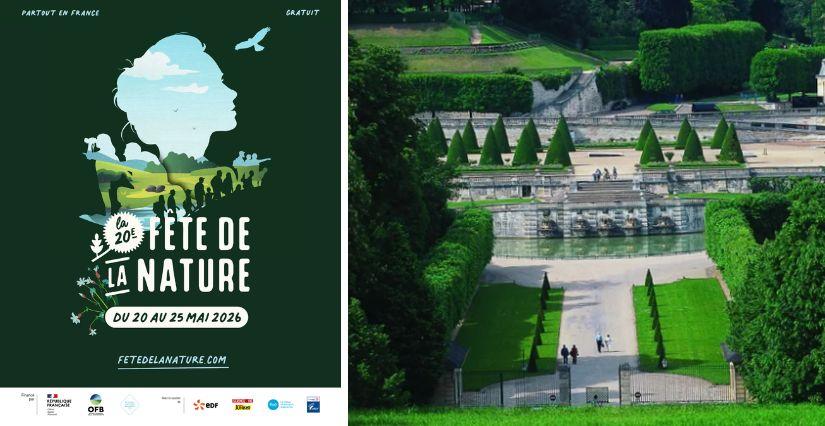 Fête de la Nature : comptez les oiseaux en famille au Domaine national de Saint-Cloud (92)