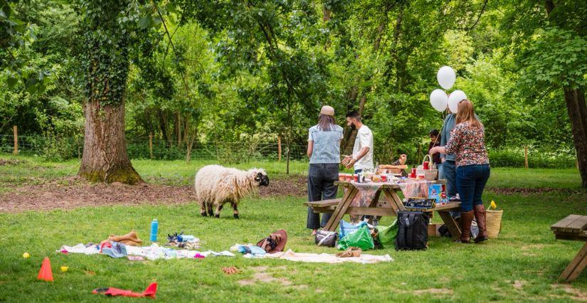 © Malowe Nature - Anniversaire enfant Fêter son anniversaire à la ferme pédagogique Malowe Nature (78)