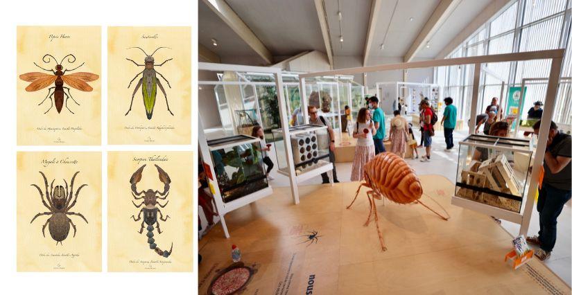 Atelier créatif "Insectes végétaux" au Parc départemental du Peuple de l'herbe (78)