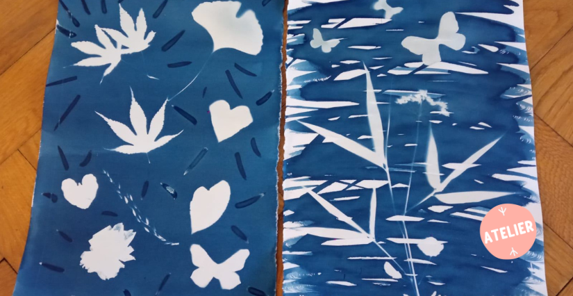 Atelier d'impression cyanotype en famille au Musée-jardin Bourdelle (77)