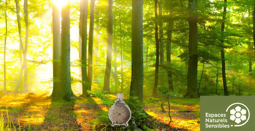 Forest Game pour les ados en Forêt départementale des Terriers (78)