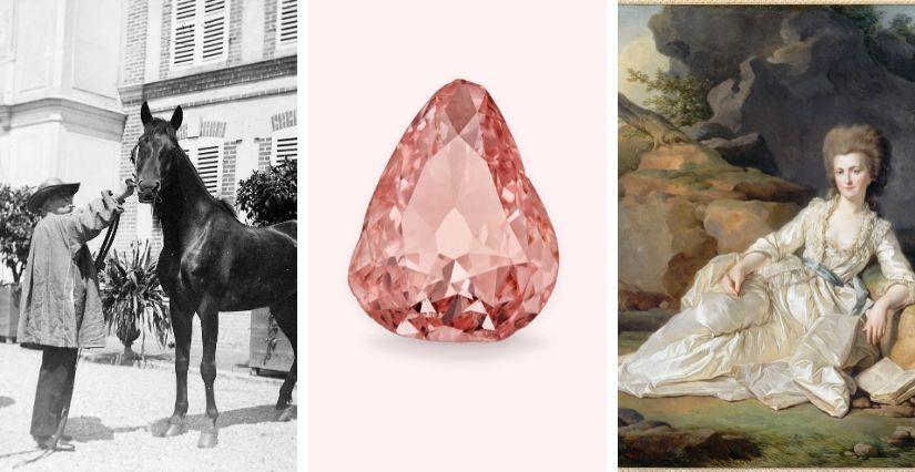 Des expositions à découvrir en famille au Château de Chantilly