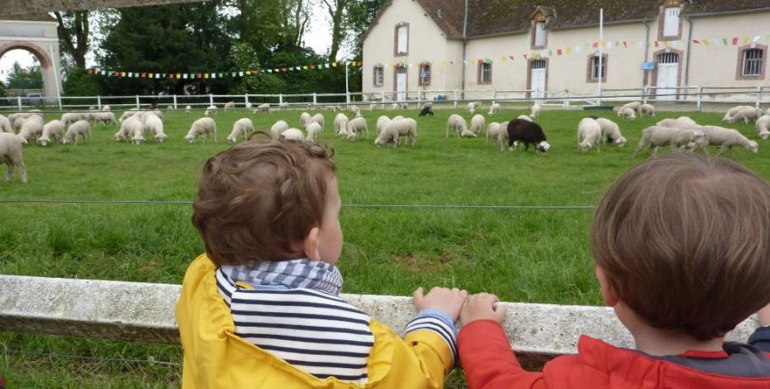 Bergerie Nationale de Rambouillet (Yvelines)