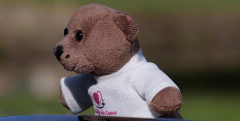 évènement caritatif au profit de la lutte contre le cancer de l'enfant Rallye du Coeur, évènement caritatif au Domaine de Dampierre-en-Yvelines (78)