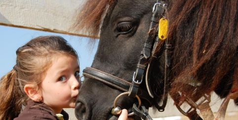 Balade à poney à la ferme de Viltain à Jouy-en-Josas (78)