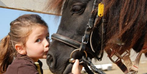 Balade à poney à la ferme de Viltain pour les enfants dès 4 ans 