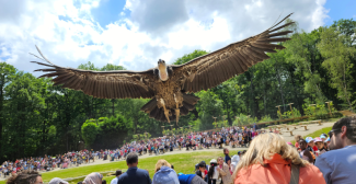 Espace Rambouillet : nos astuces pour une sortie en famille réussie dans le parc animalier des Yvelines