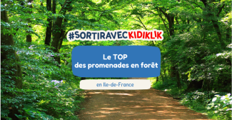 Le top des promenades en forêt avec les enfants en Ile-de-France