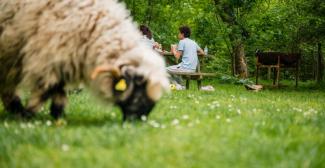 Malowe Nature, ferme pédagogique en famille dans les Yvelines