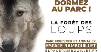 Bivouac : une nuit en forêt à l'Espace Rambouillet dans les Yvelines