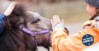 Anniversaire enfant parmi les poneys aux Écuries de Cap'tain Brown à Neuilly-en-Thelle (60) Anniversaire enfant parmi les poneys aux Écuries de Cap'tain Brown à Neuilly-en-Thelle (60)
