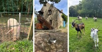 Ferme pédagogique du Bel Air : une sortie nature en famille à Villiers-le-Bâcle (91) Ferme pédagogique du Bel Air : une sortie nature en famille à Villiers-le-Bâcle (91)