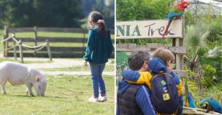 Anniversaire enfant au parc animalier Parrot World (77) Anniversaire enfant au parc animalier Parrot World (77)