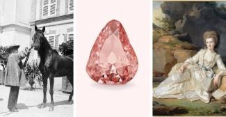Des expositions à découvrir en famille au Château de Chantilly
